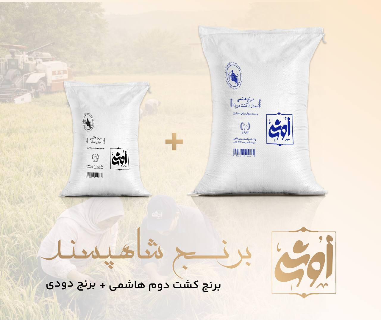 شاهپسند ( برنج هاشمی ممتاز (کشت دوم) - برنج هاشمی ممتاز دودی) - 15 کیلوگرم