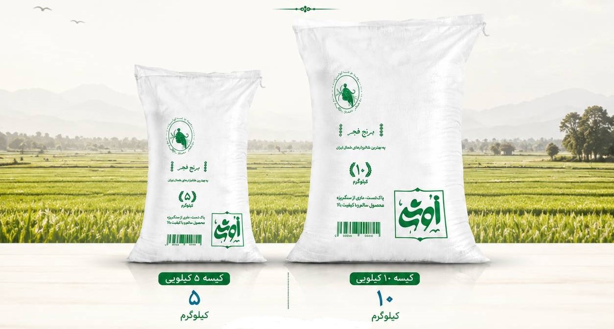 برنج  فجر